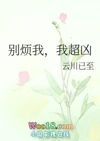 别烦我，我超凶（穿越）封面